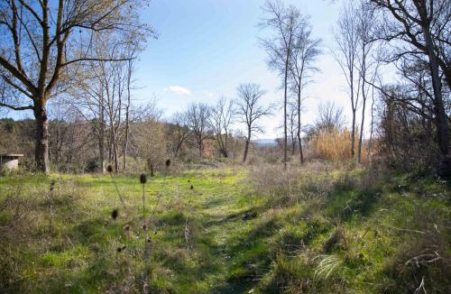 Ladern-sur-Lauquet House | Zen Experience including Yoga & Healthy food