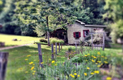 Tiger Cottage | Zen Mountain Escape: Rivers, Nature, Wineries & Solitude