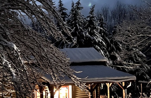 Tiger Cottage | Zen Mountain Escape: Rivers, Nature, Wineries & Solitude