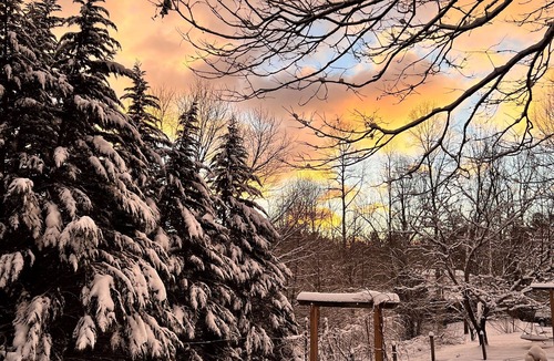 Tiger Cottage | Zen Mountain Escape: Rivers, Nature, Wineries & Solitude