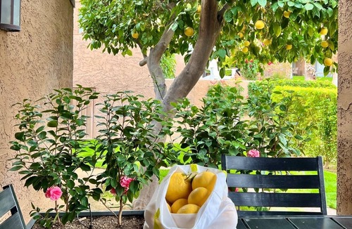 Palm Desert Condo | Zen Pool Villa - Original Art & Vintage Design - Pool & Jacuzzi - Ironwood