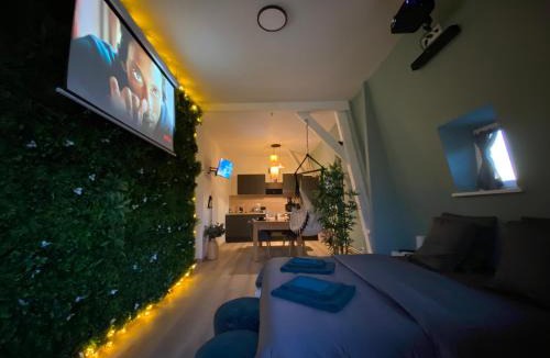 Roubaix Apartment | ZEN - Roubaix-Lille - Balneo - Home cinéma - Billard