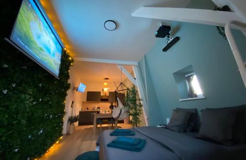 Roubaix Apartment | ZEN - Roubaix-Lille - Balneo - Home cinéma - Billard
