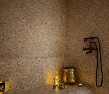 Treillieres Bed & Breakfast | Zen spa