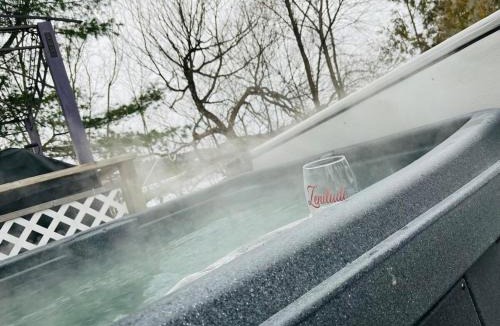 Saint-Andre-Avellin Ski Chalet | Zenitude 2, Beachfront chalet, hot tub,Lac Simonet