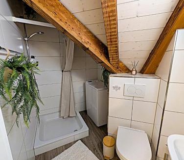 St. Gallen Apartment | Zentrales Design Loft über den Dächern St Gallens