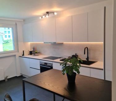 Weggis Apartment | Zentrumsnah und modern mit Seeblick in Weggis