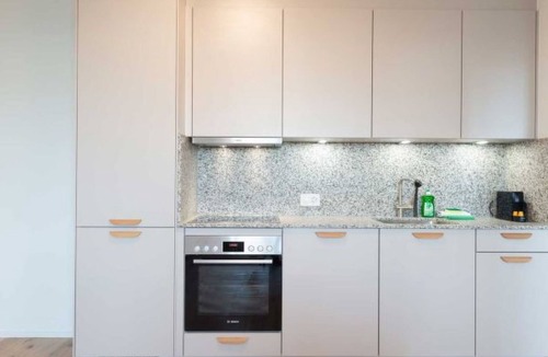 Center Apartment | ZH Blue 3 - Letzigrund HITrental Apartment by Interhome