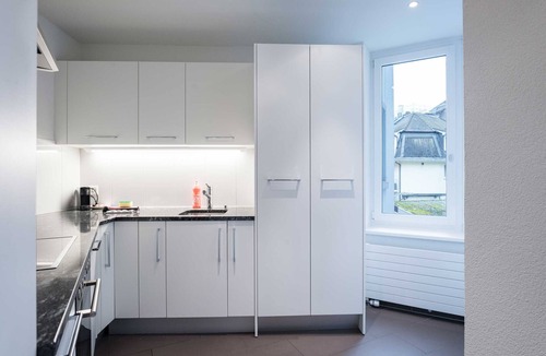 Sihlfeld Apartment | ZH Gold 1 - HITrental Apartment