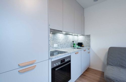 Center Apartment | ZH Green 3 - Letzigrund HITrental Apartment