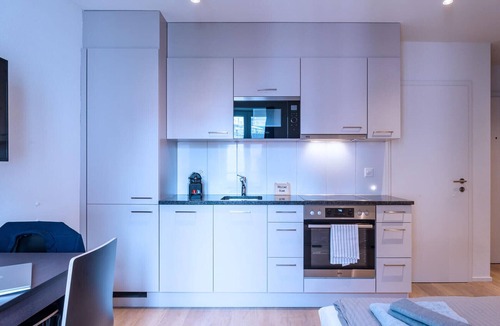 Center Apartment | ZH Herta II - HITrental Central Station Apartment