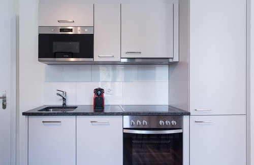 Albisrieden Apartment | ZH Pineapple I - HITrental Wiedikon Apartments