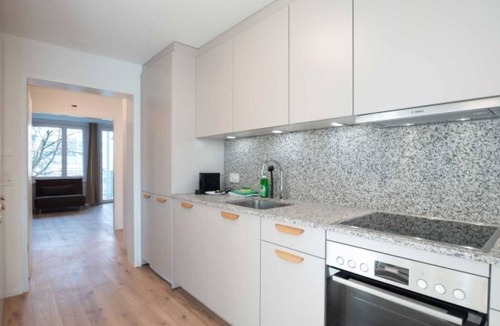 Center Apartment | ZH Pink 1 - Letzigrund HITrental Apartment by Interhome