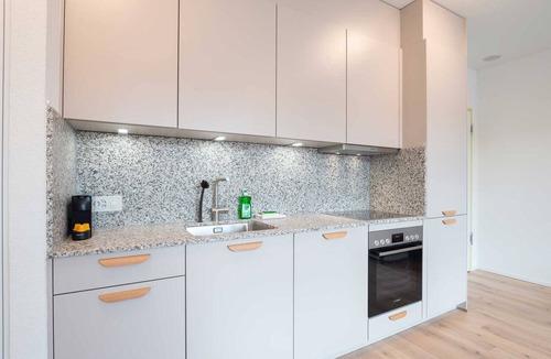 Center Apartment | ZH Yellow 4- Letzigrund HITrental Apartment