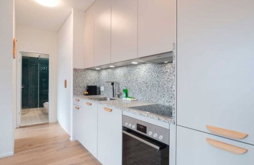 Center Apartment | ZH Yellow 4- Letzigrund HITrental Apartment by Interhome