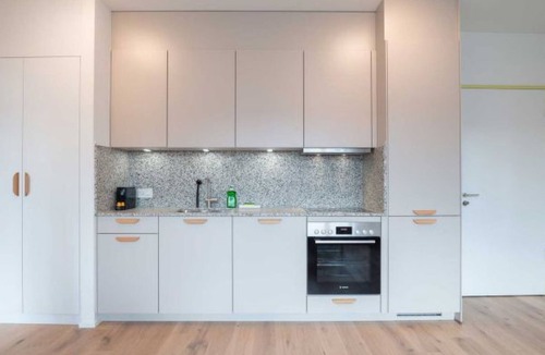 Center Apartment | ZH Yellow 4- Letzigrund HITrental Apartment by Interhome