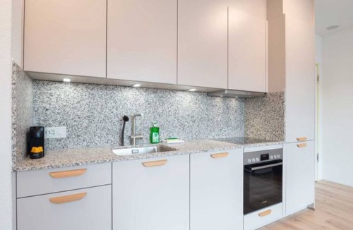 Center Apartment | ZH Yellow 4- Letzigrund HITrental Apartment by Interhome