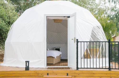 Kilsyth Other | zhus garden