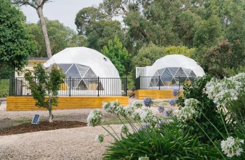 Kilsyth Other | zhus garden