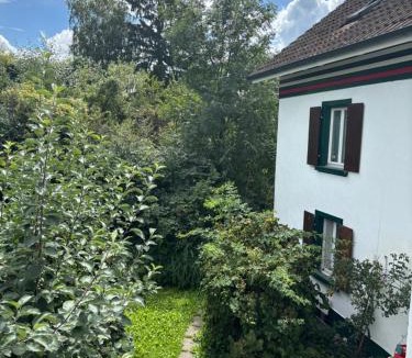 Kaiseraugst House | Zimmer mit Aussicht