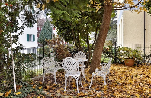 Kreuzlingen Apartment | 'Zimmer mit Kochnische Rosenbaum' mit Gemeinschaftsgarten und WLAN