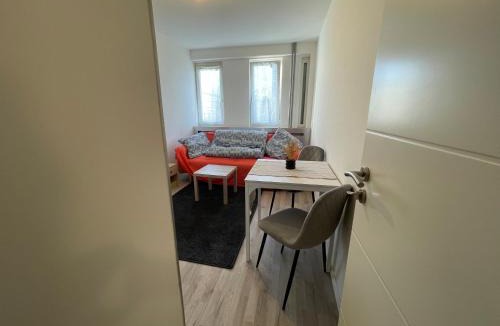 Borny House | Zimmer Studio Metz