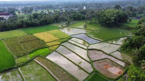 Kotaraja House | Zinzi's All-Inclusive Homestay
