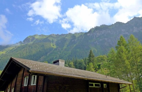Wengen Apartment | Zur Linde Apt.W by Interhome