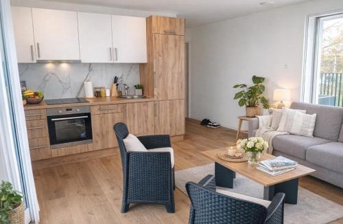 Hasliberg Apartment | Zurich Airport Cozy Studio