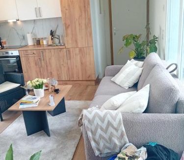 Hasliberg Apartment | Zurich Airport Cozy Studio