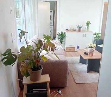 Hasliberg Apartment | Zurich Airport Cozy Studio