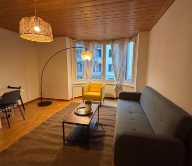 Sihlfeld Apartment | Zurich Essentials Simple Apartment