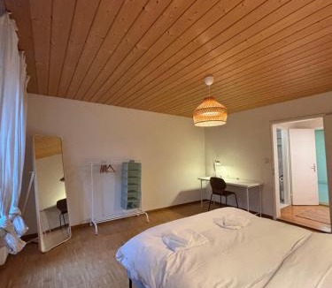 Sihlfeld Apartment | Zurich Essentials Simple Apartment