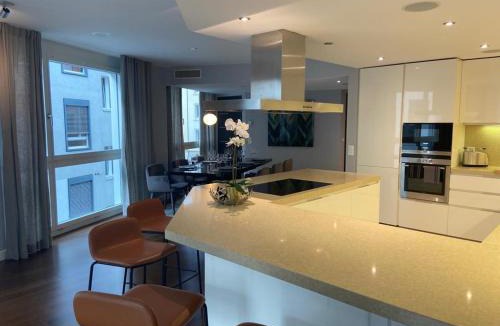 Alt-Wiedikon Apartment | Zurich Luxury Residence 250sqm with AC & parking