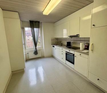 Sihlfeld Apartment | Zurich Style One Bedroom All Yours