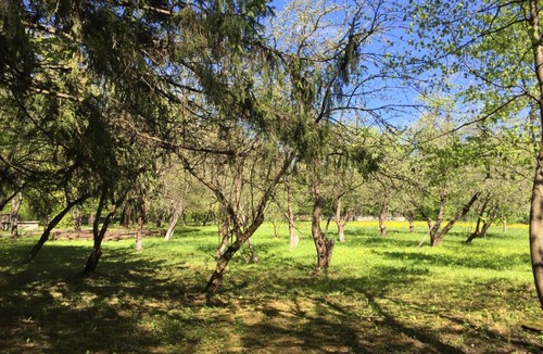 Zvenigorod Hostel | Zvenigorod Hostel