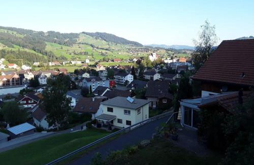 Neu St Johann Apartment | Zwinglis Ferienwohnung Rosi
