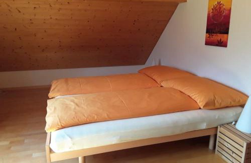 Neu St Johann Apartment | Zwinglis Ferienwohnung Rosi