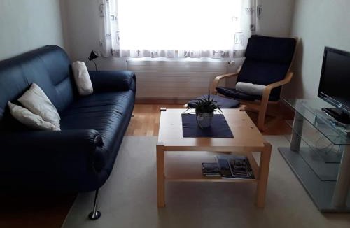 Neu St Johann Apartment | Zwinglis Ferienwohnung Rosi