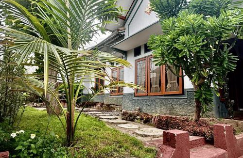 Kalipuro Hostel | Zzz Ijen Hostel