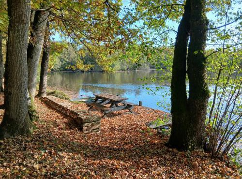 écurie de Saint Bale