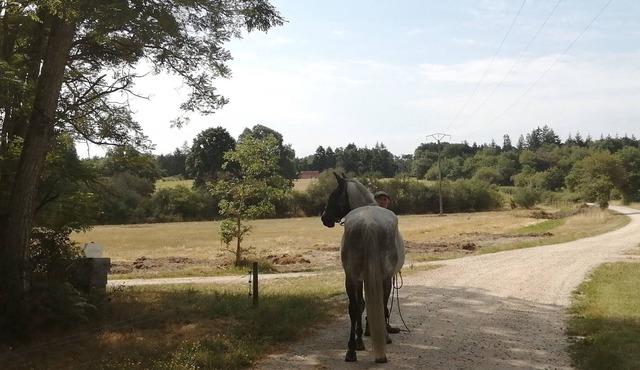 ÉPI 2 Château de la Bretèche