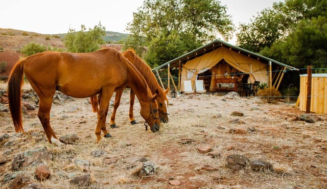 équi-lodge avec spa au lac du Salagou