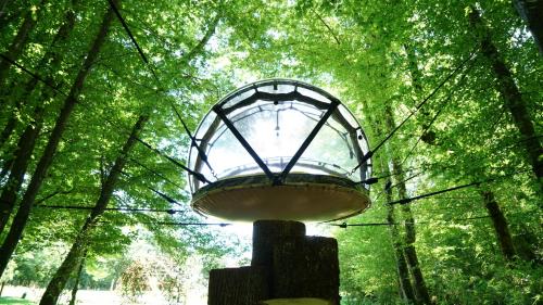 Ô Pays Des Bois - Hébergements insolites en pleine nature