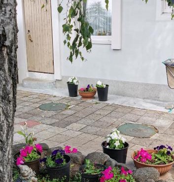 Апартаменты в Песочном