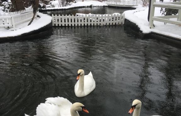 Гостиница Атаманская