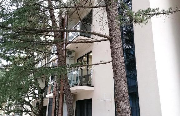 Мадрид Парк 2 - "Видный" Апартаменты Сочи Адлер Курортный городок