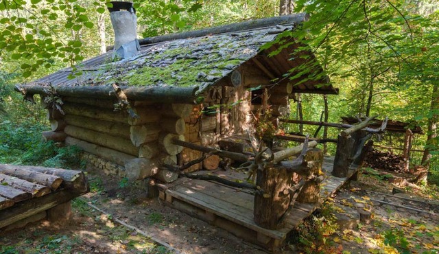 Таёжный глэмпинг