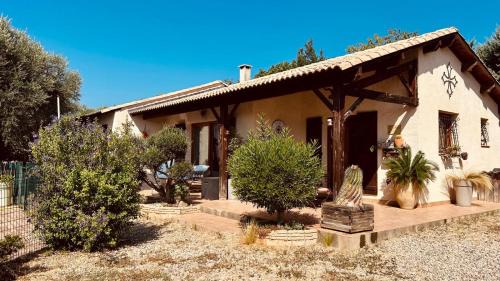 à l'ombre de l'olivier