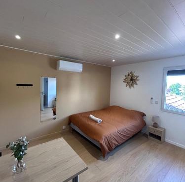 "émile"Cozy studio proche Zenith, A75